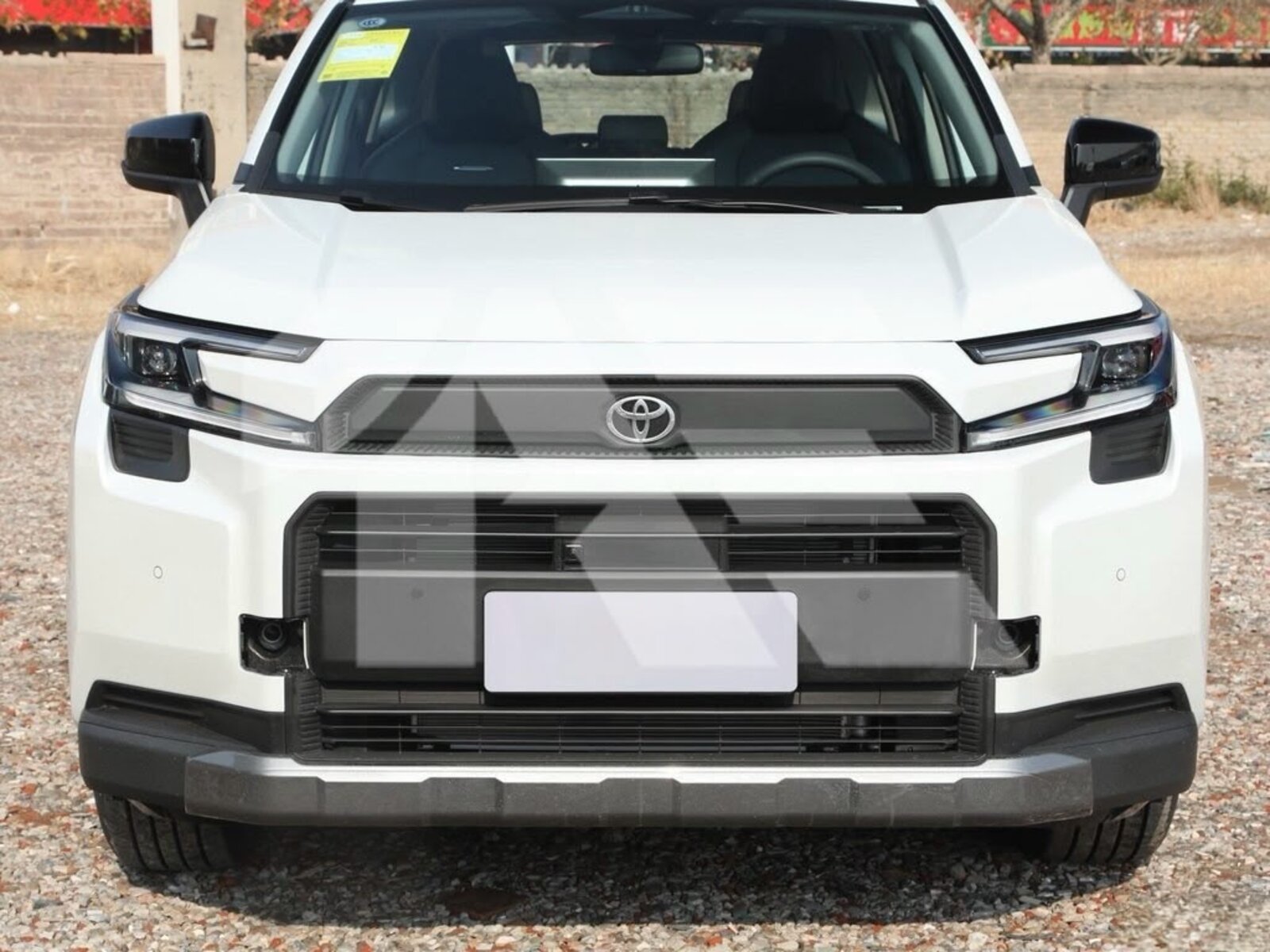 Toyota RAV4 Luxury photo 9